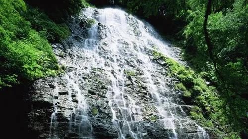 高性能独特稳定性